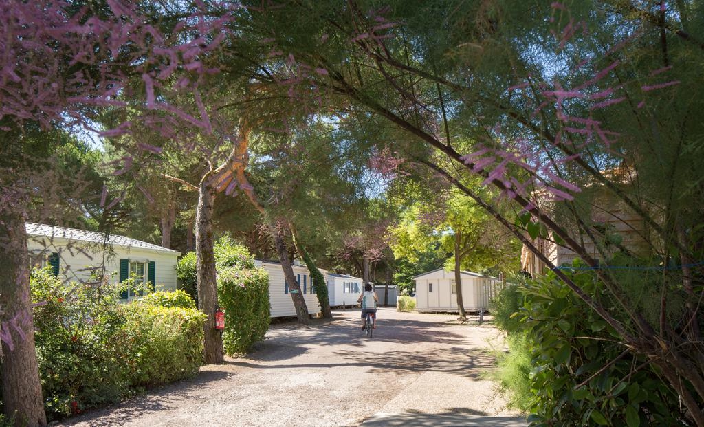 Camping Le Suroit Le Bois-Plage-en-Ré エクステリア 写真